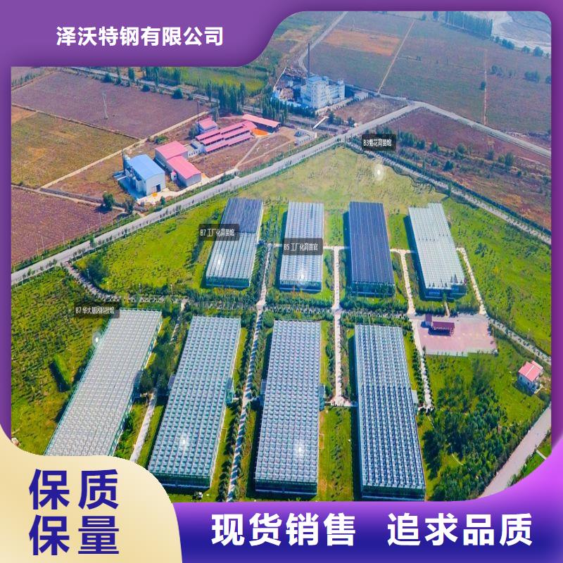 遂州县纹络型玻璃温室厂家哪里