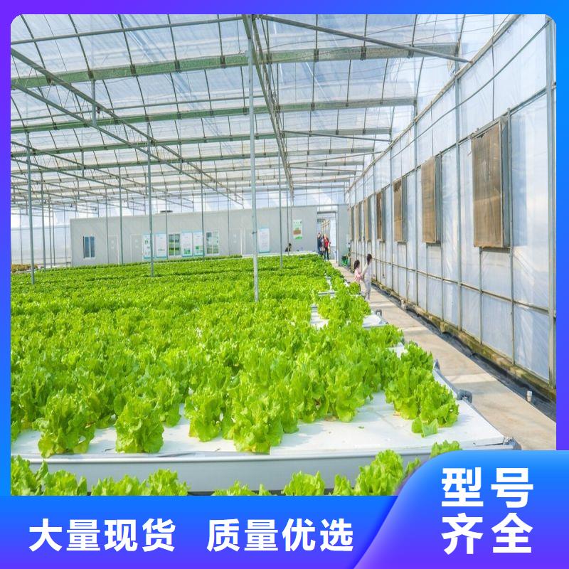 政和种植大棚靠谱厂家