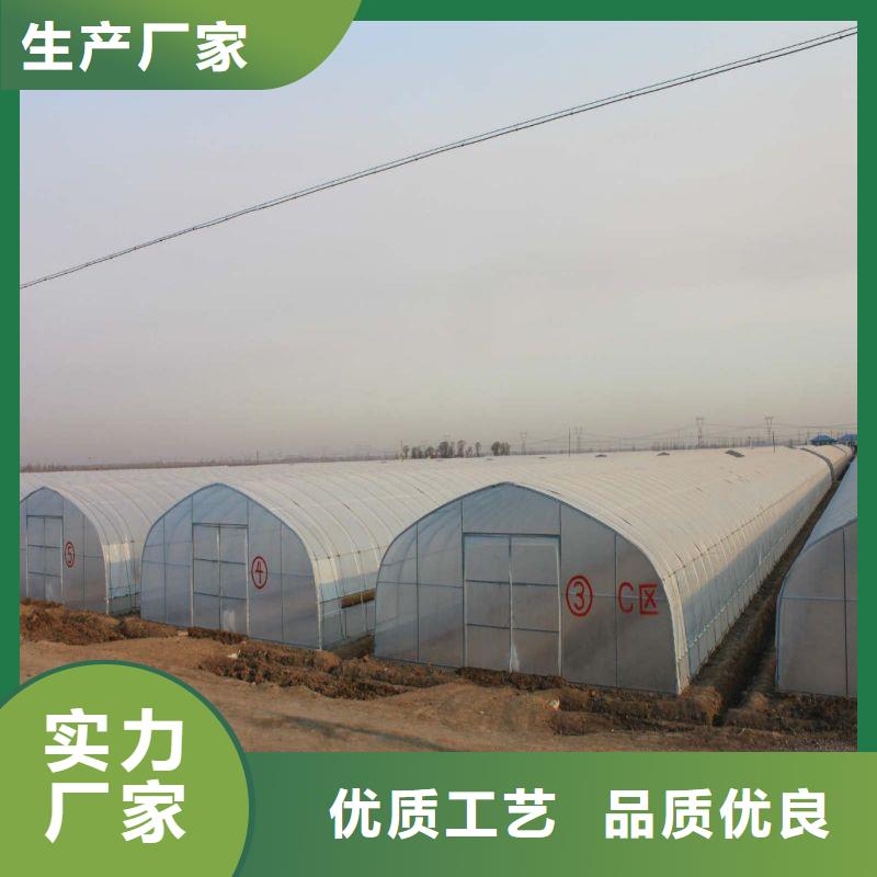 广东省珠海市唐家湾镇定尺连栋蔬菜大棚管实力厂家