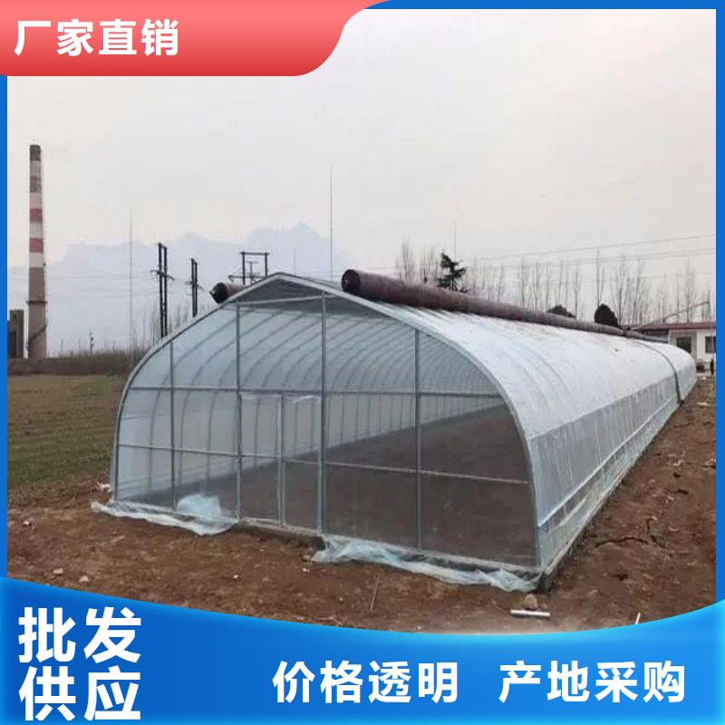 连栋大棚结构图来图定制2025