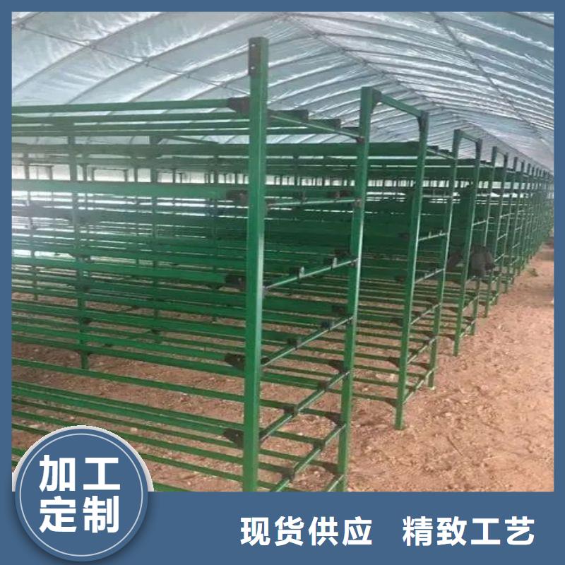 泗阳种植棚货源充足