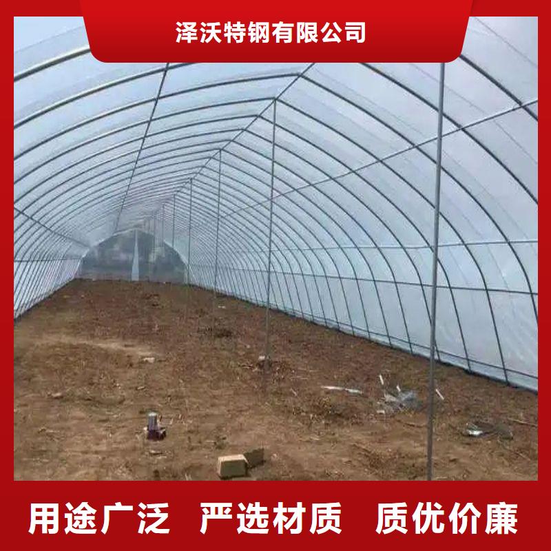 防虫网采购