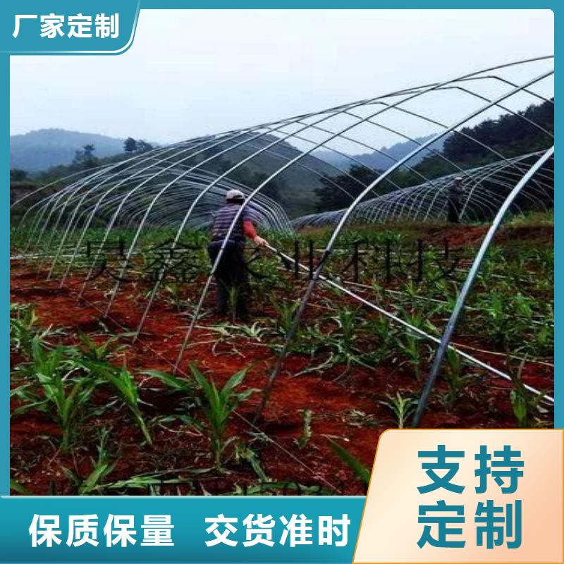会东县连栋大棚钢管