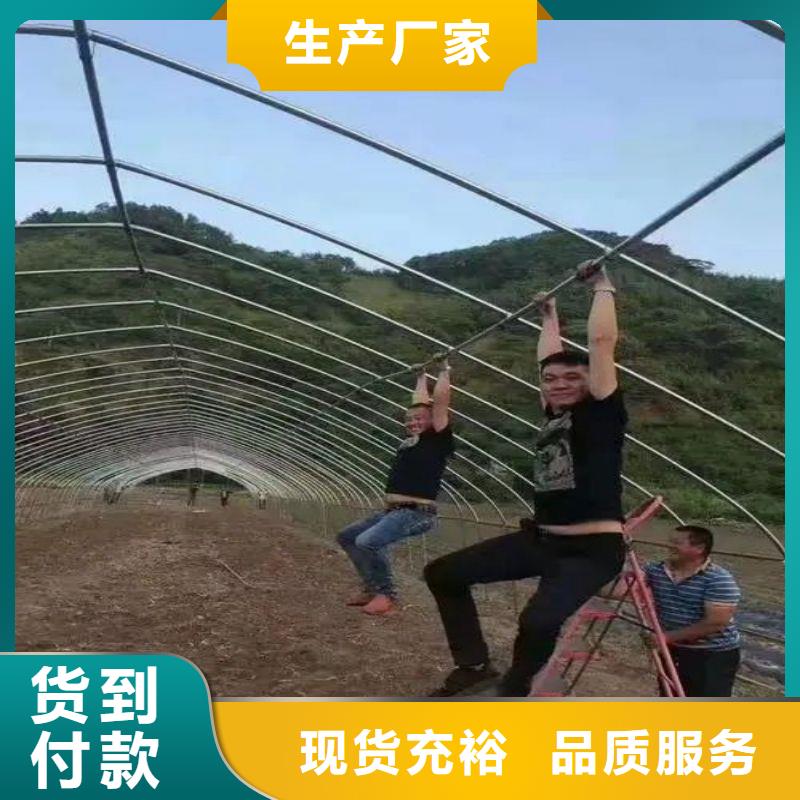 薛城区连体大棚热镀锌钢管咋卖