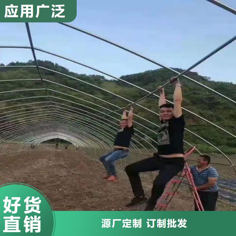西区街道无锡连栋大棚厂家2025