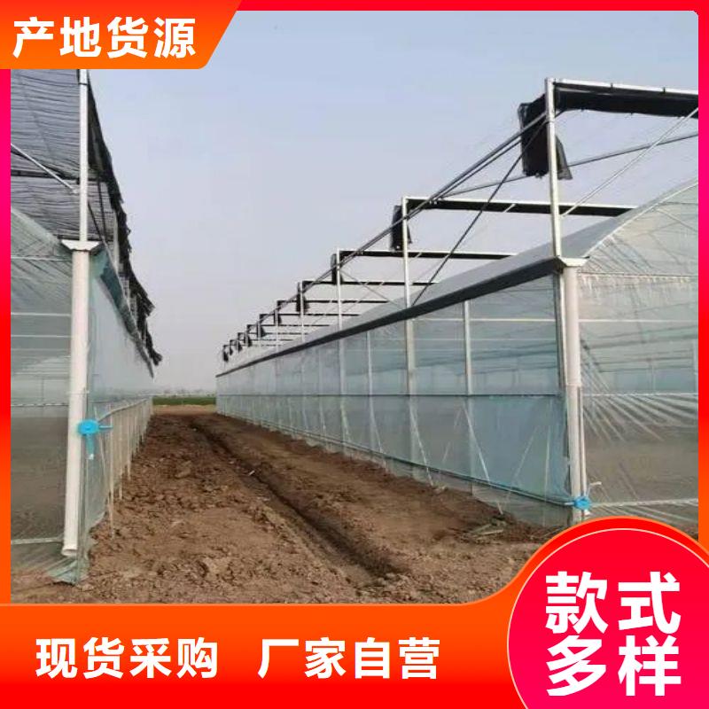 连体大棚钢管询问报价