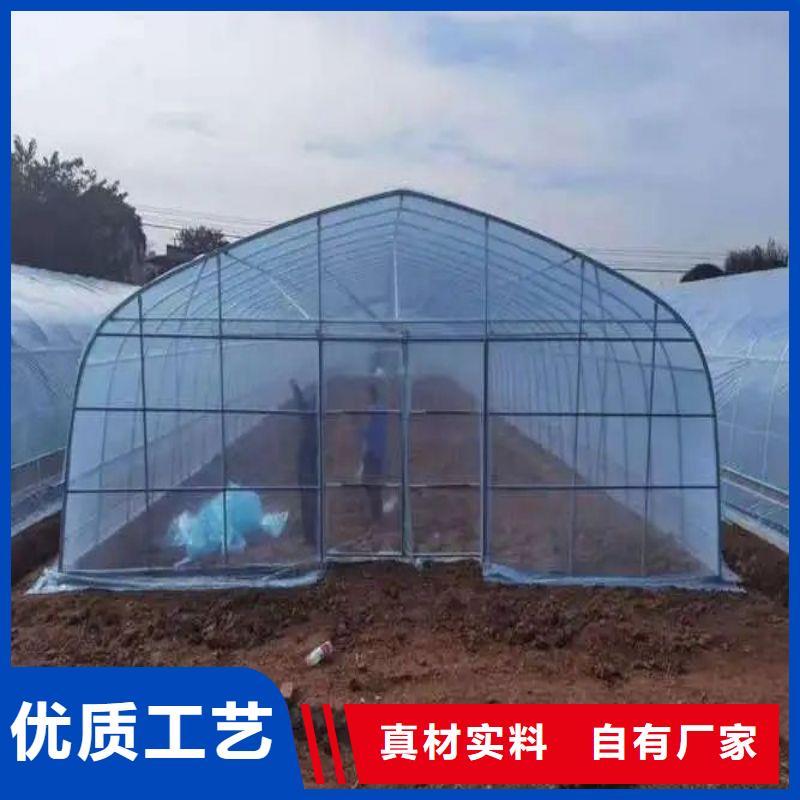 曲阳县椭圆管大棚感兴趣