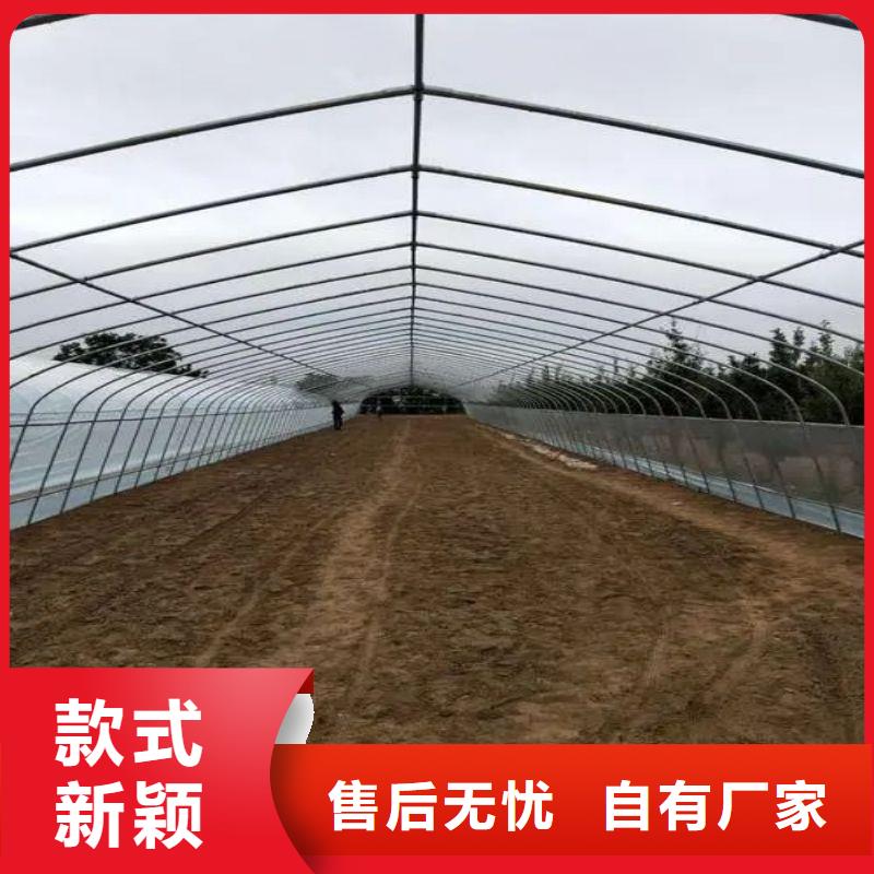 鼎湖1寸大棚骨架管