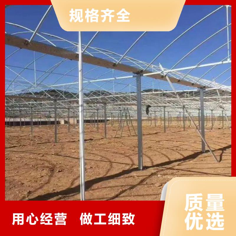 仪征一架大棚用多少钱多少料制造商_来电咨询