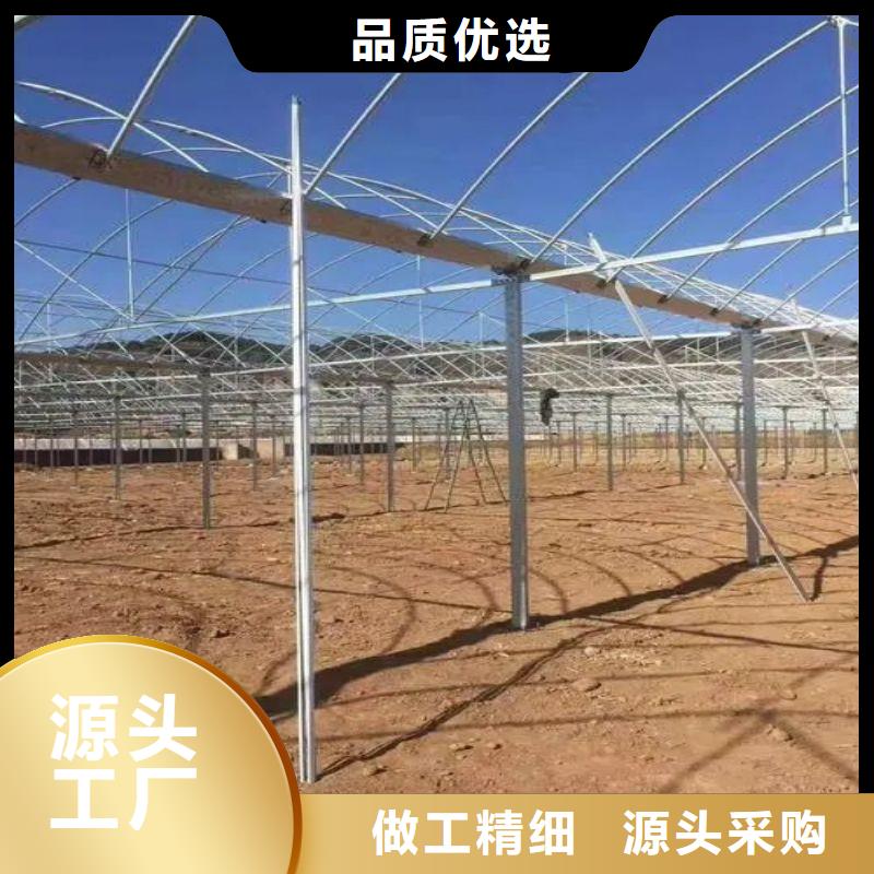 淄川区单体大棚怎么