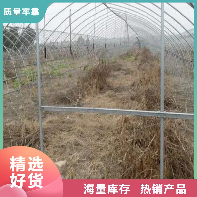 阜南县农用8米大棚管地址