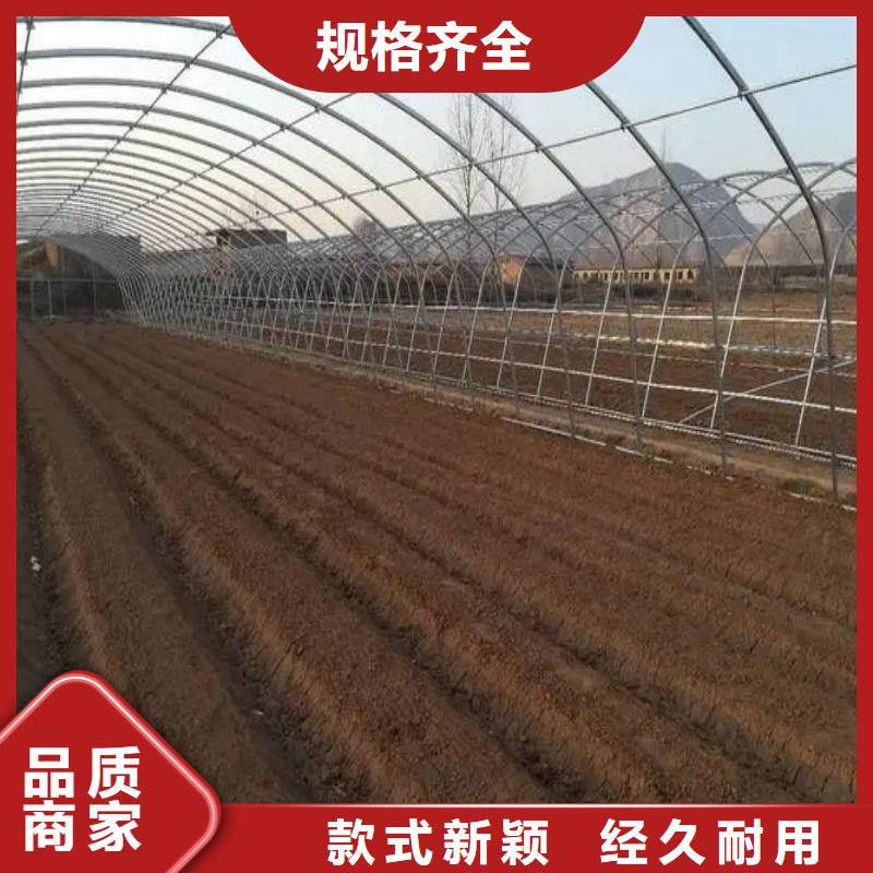 蕉城区简易温室价格行情