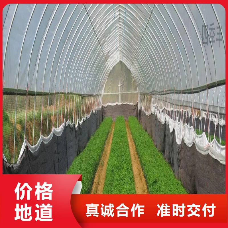 宁南县蔬菜大棚钢管