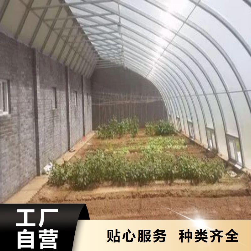 古蔺县蔬菜连栋大棚钢管性价比高