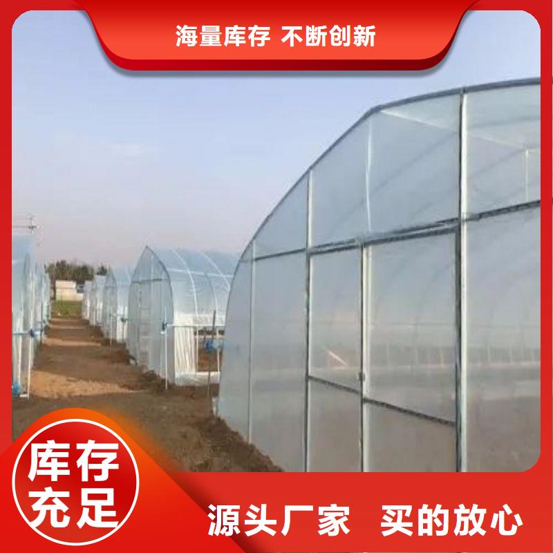红安连栋大棚图片询问报价2025