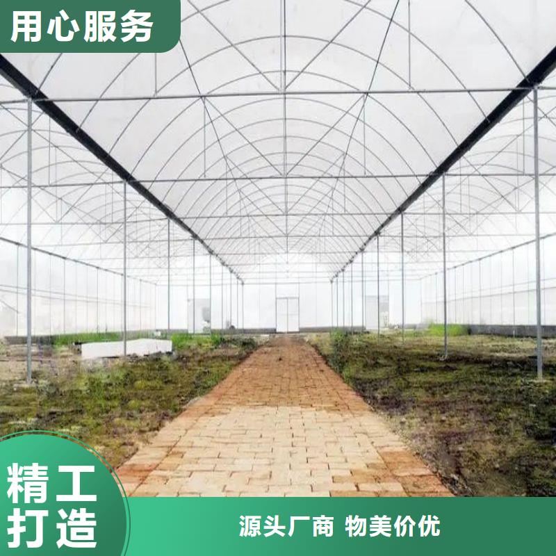 民乐县隧道温室制造厂家