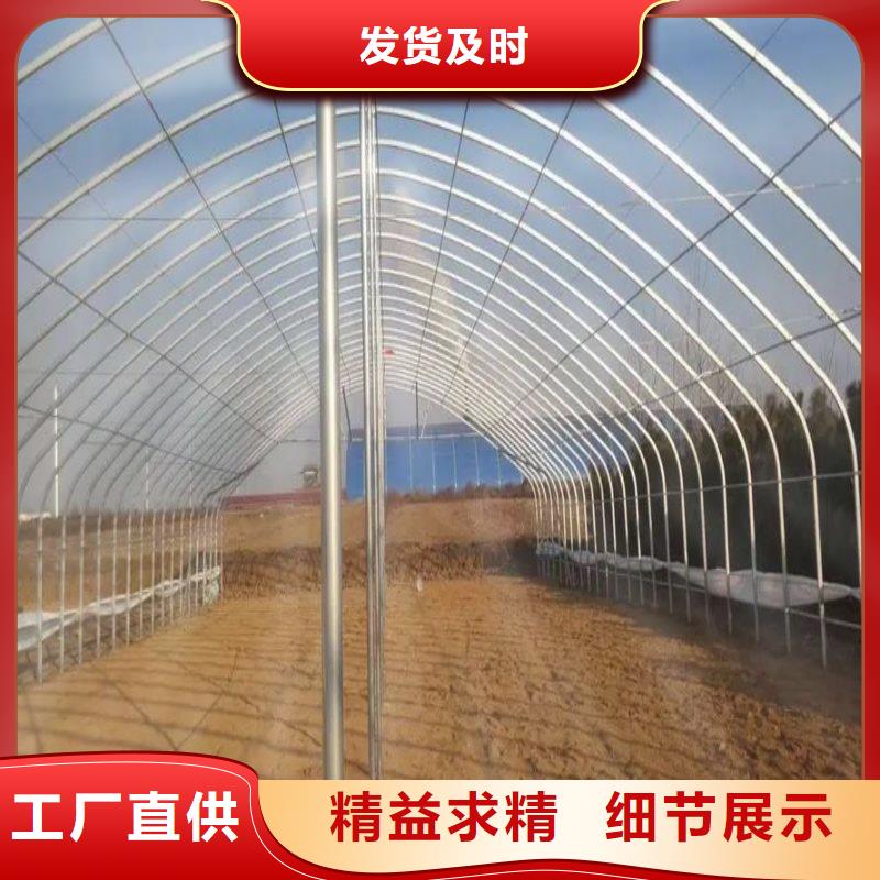 宝应县葡萄热镀锌大棚管简介