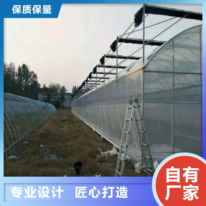 平和县塑料薄膜温室询问报价