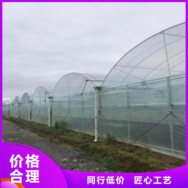西丽街道玻璃连栋大棚购买2025