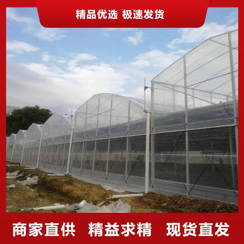 恩平市棉被大棚咋卖