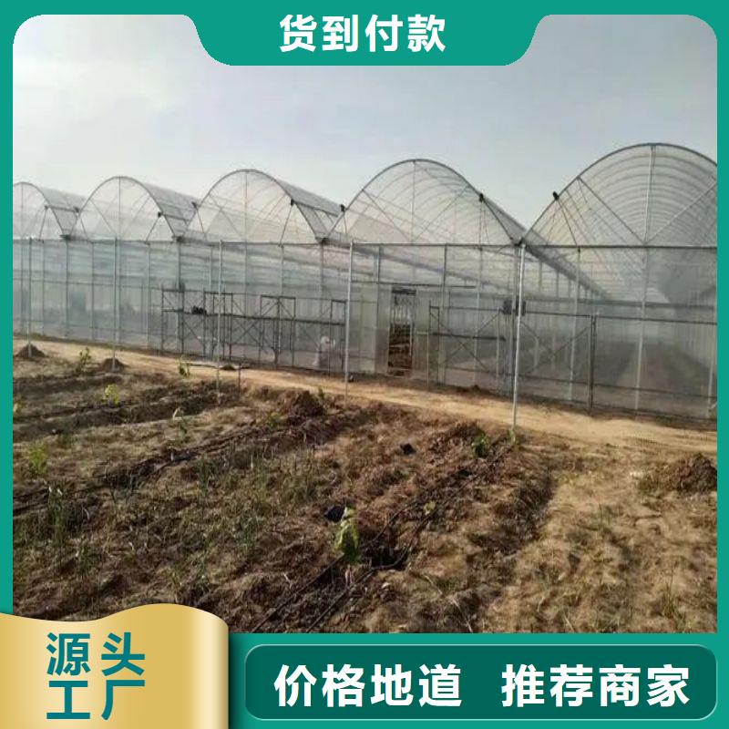 龙海市温室大棚棚配件发货快