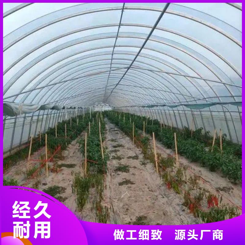 西城区热镀锌大棚管,咋卖