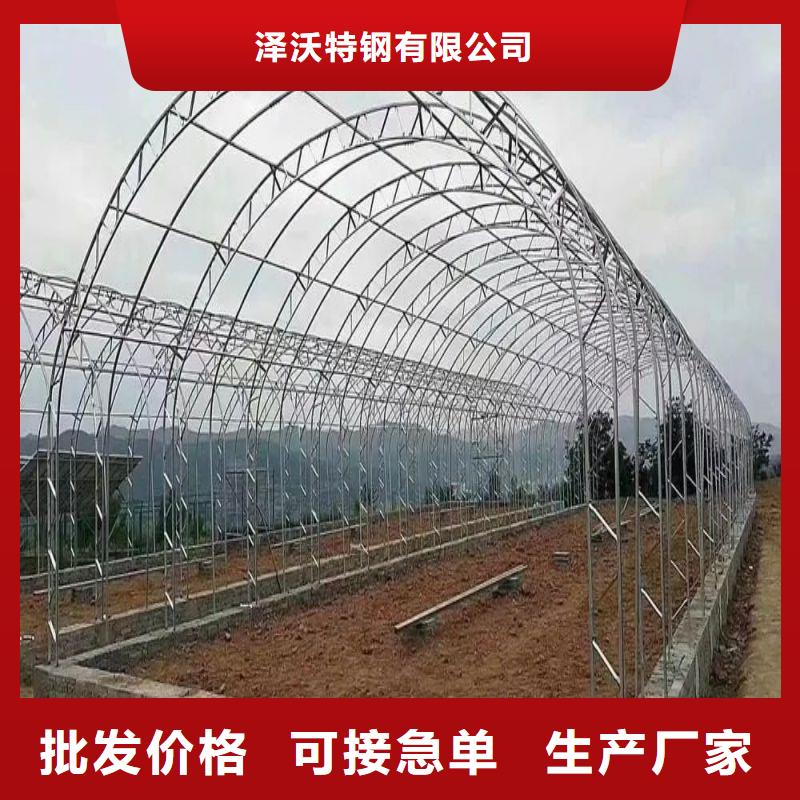 连体大棚钢管询问报价