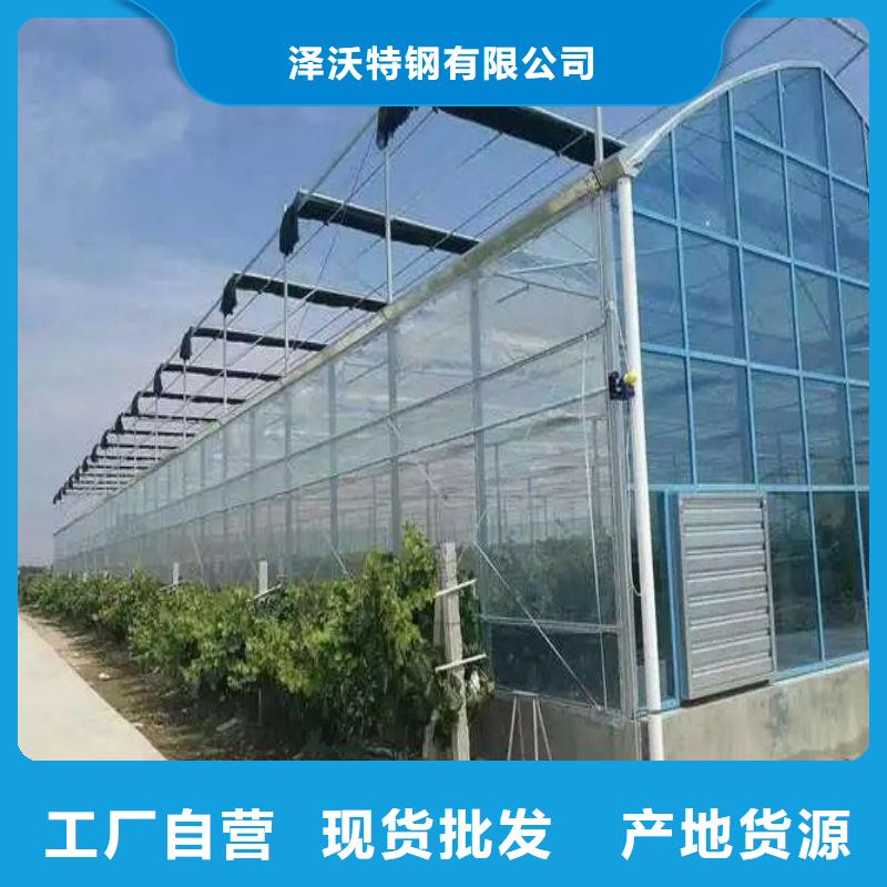 五莲种植棚厂家