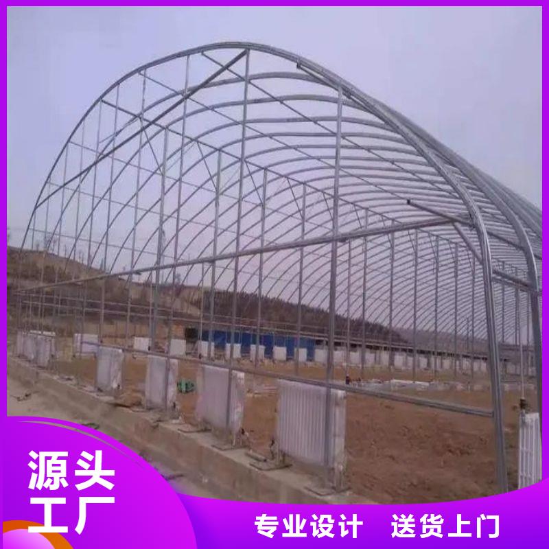 沁阳市蔬菜大棚厂家