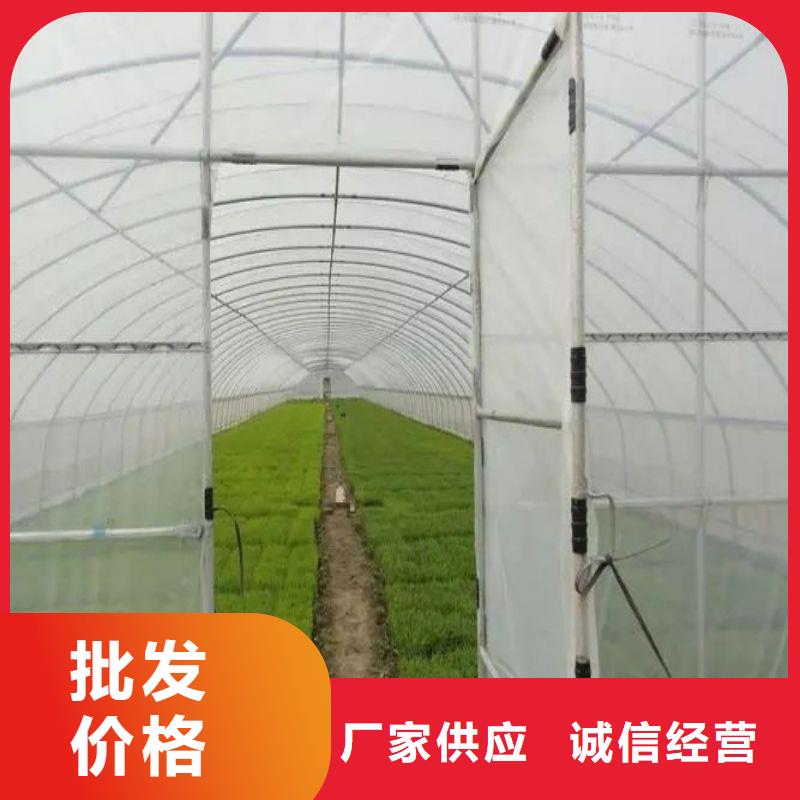会东县连栋大棚钢管