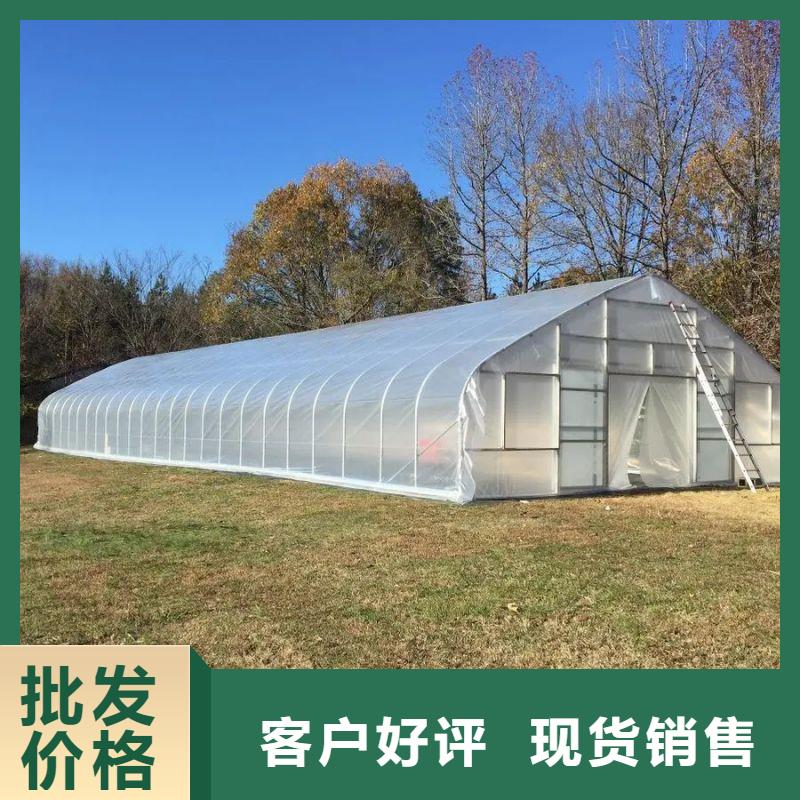 国标连栋定尺大棚管|服务至上