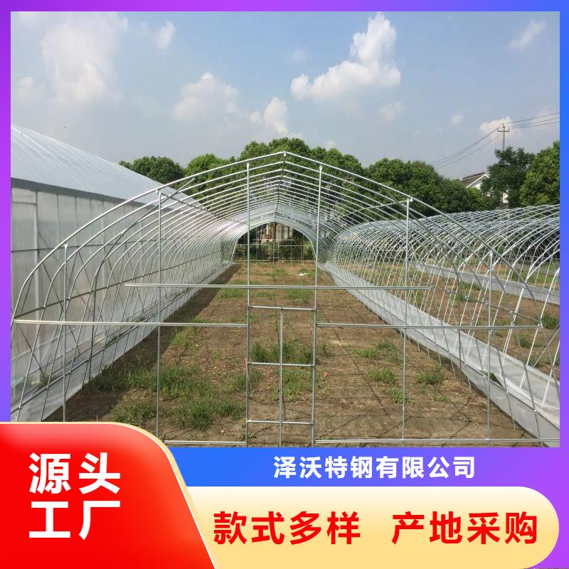 吉水种植单体大棚放心购买
