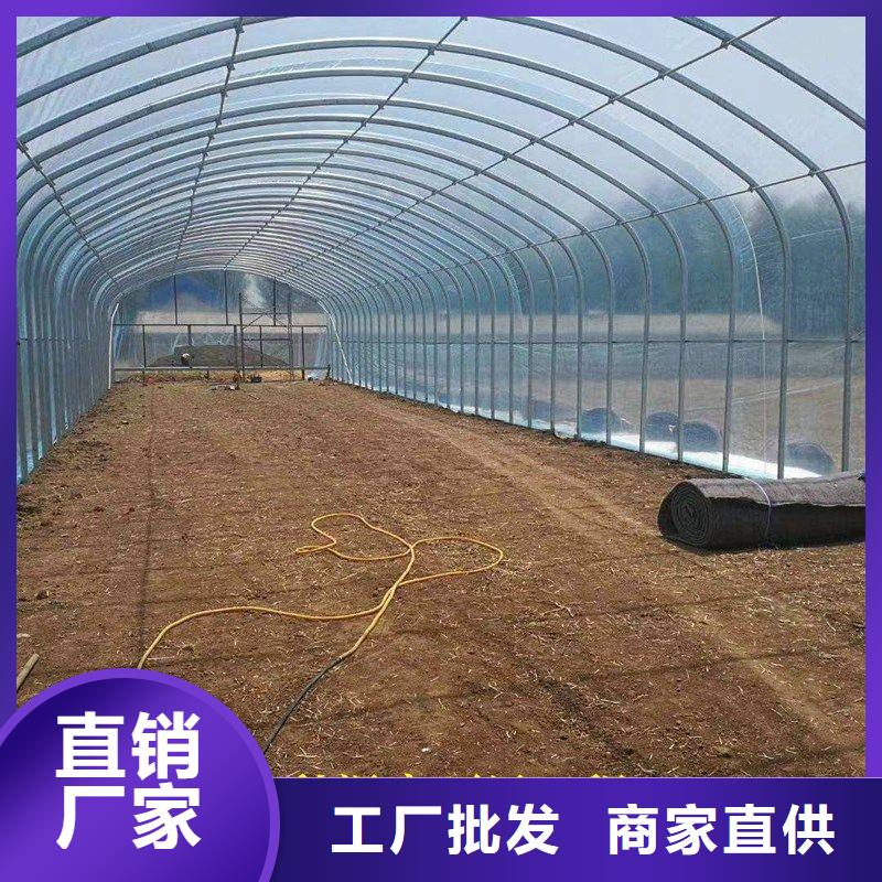 宝应县葡萄热镀锌大棚管简介