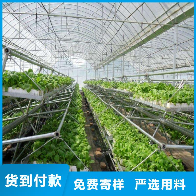 新罗圆扁钢厂家现货