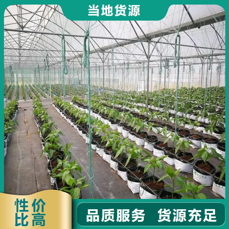 新湖街道温室大棚管生产厂家