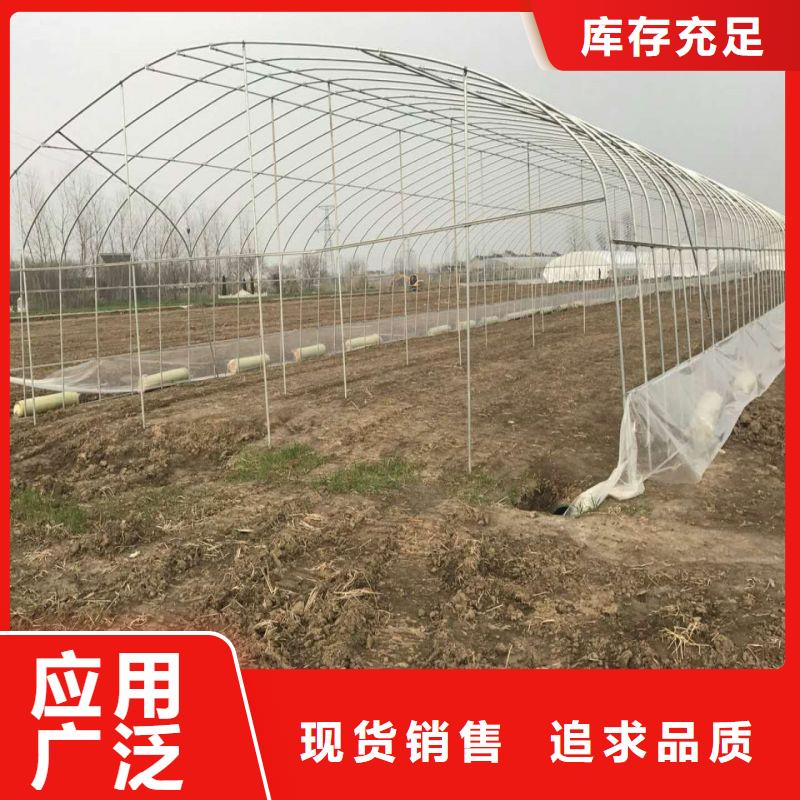 平和县塑料薄膜温室询问报价