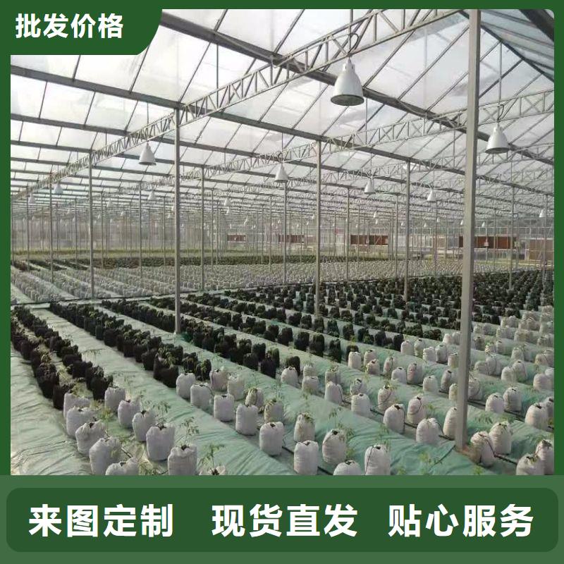 宝安区蔬菜连栋大棚怎么卖