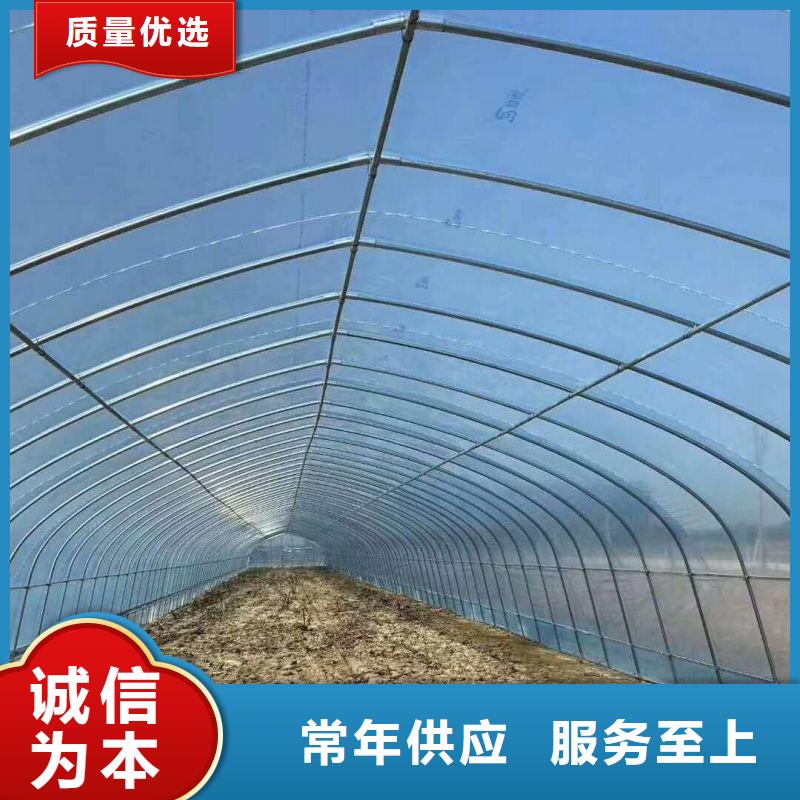 康乐玻璃连栋大棚生产厂家2025