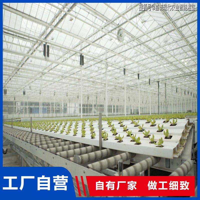 葡萄火龙果大棚用钢管