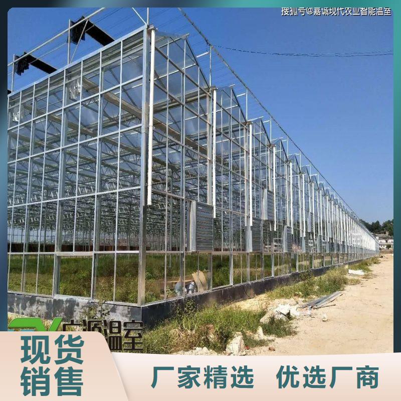 沙河街道春秋冷棚货源