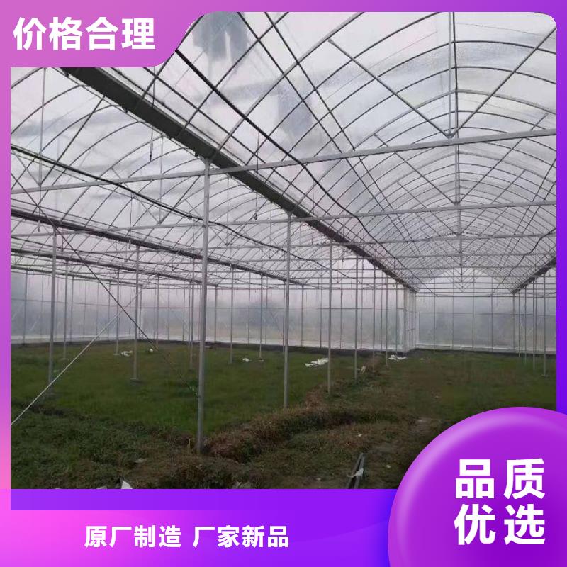 镀锌管大棚管现货供应,