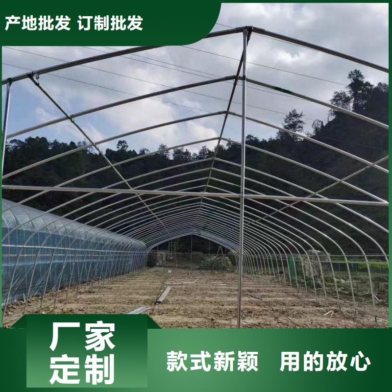 铁东区6分大棚管现货
