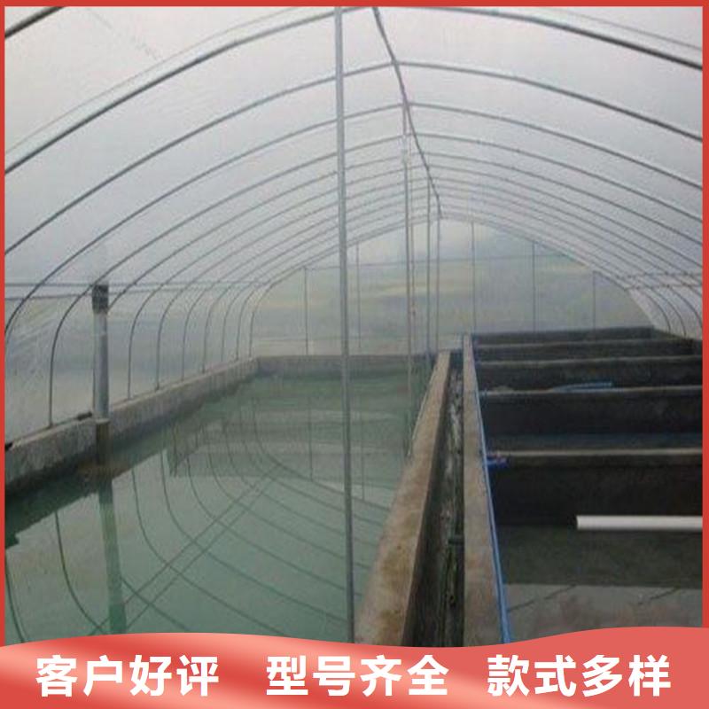 西乡街道连栋大棚种植择优2025