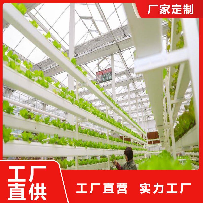 连体大棚热镀锌钢管价格