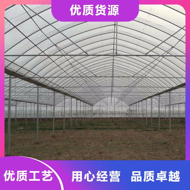 平和县塑料薄膜温室询问报价