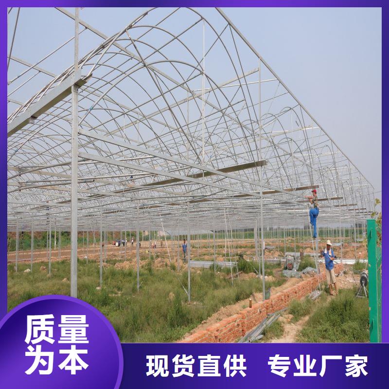 宁南县蔬菜大棚钢管