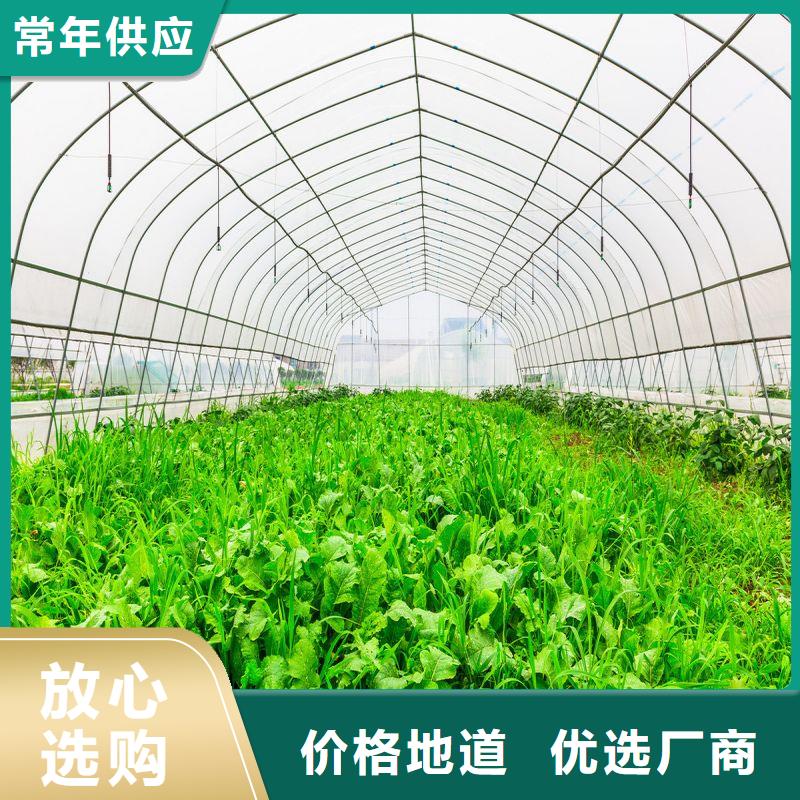 邗江区草莓骨架钢管
