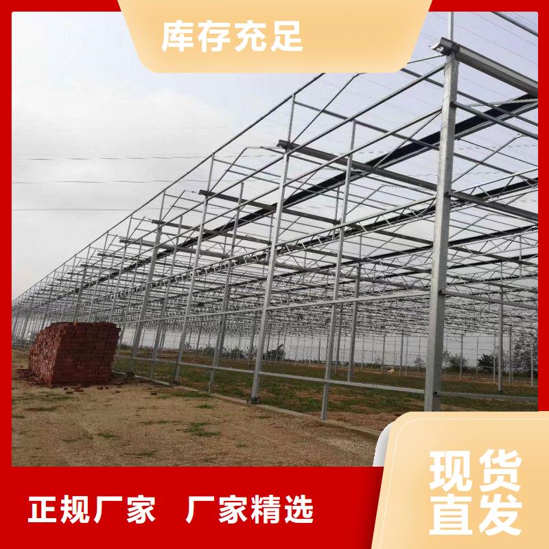 泰顺县蔬菜连体温室大棚管正规厂家