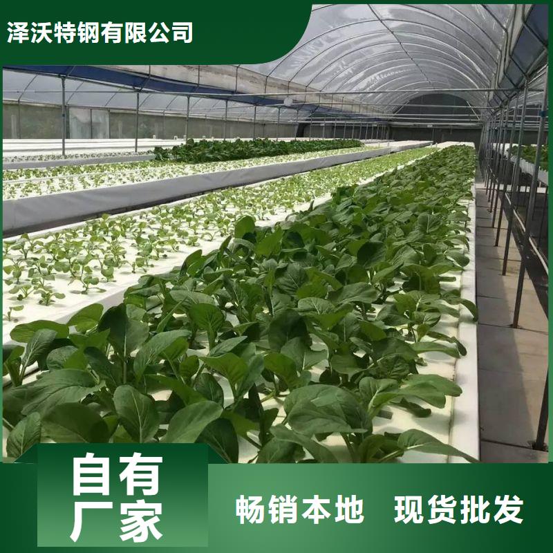 南和县连体大棚热镀锌钢管择优