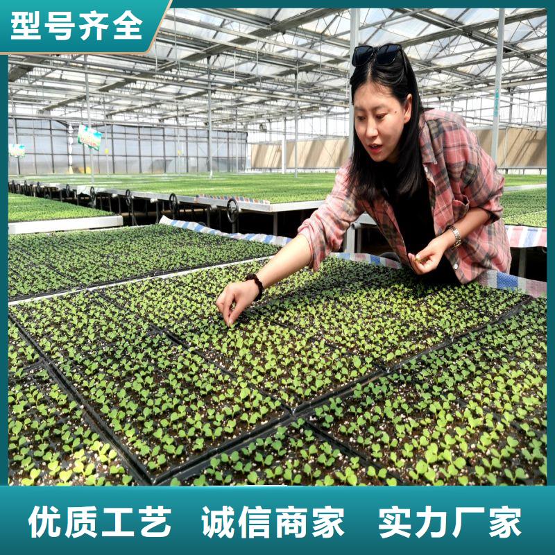 西瓜大棚骨架机咋买
